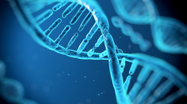 Timeline: ADN y sus científicos