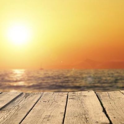 Timeline: EL MEU 2017