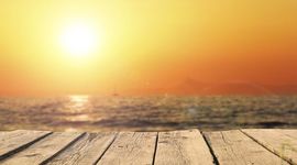 Timeline: EL MEU 2017