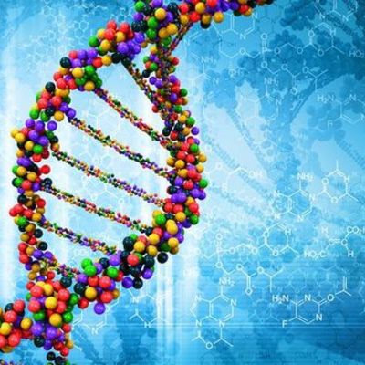 Timeline: Historia de la Genética                                                                              (por Robert Tamas y Claudia Parra)