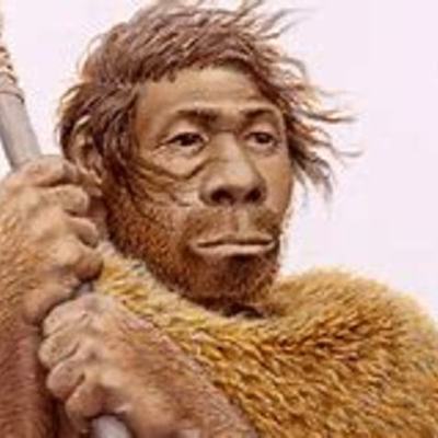 Timeline: EVOLUCIÓN DOS HOMÍNIDOS