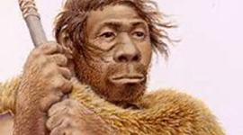 Timeline: EVOLUCIÓN DOS HOMÍNIDOS