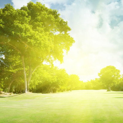 Timeline: الاتفاقات الدولية المتعلقه بالبيئه