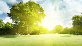 Timeline: الاتفاقات الدولية المتعلقه بالبيئه