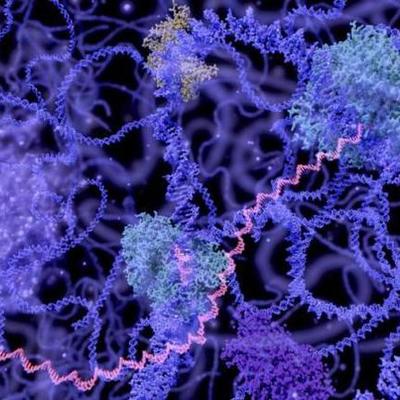 Timeline: EL ORIGEN DE LA VIDA Y SU EVOLUCIÓN