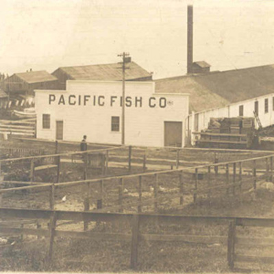 Timeline: 2.1: The Death and Life of the Monterey Bay Timeline Assignment