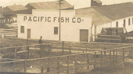 Timeline: 2.1: The Death and Life of the Monterey Bay Timeline Assignment