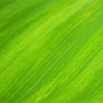 Timeline: Acontecimientos importantes de la computación