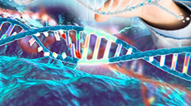 Timeline: Biología Molecular (2000 - 2018)