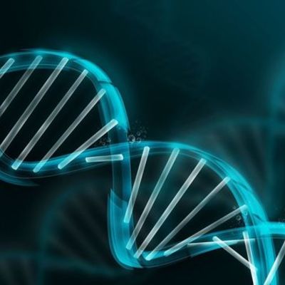 Timeline: Hitos importantes de la génetica