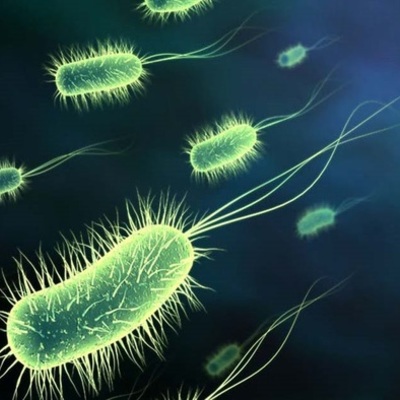 Timeline: Enfermedades a lo largo de la historia