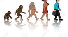 Timeline: Etapas de la humanidad