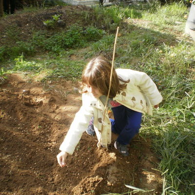 Timeline: σπορά