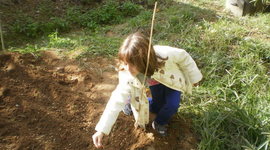 Timeline: σπορά