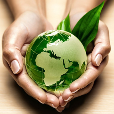 Timeline: desarrollo sustentable