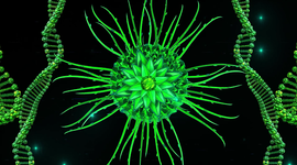 Timeline: Psychology Timeline ___   Madison Vogelsang