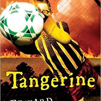 Timeline: Tangerine Kevin S.