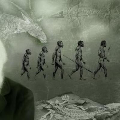 Timeline: Darwin