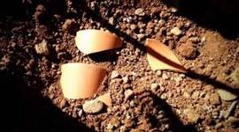 Timeline: Excavació Prehistòrica