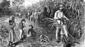 Timeline: Sugar Act