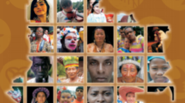 Timeline: RECONOCIMIENTO DE LA DIVERSIDAD EN COLOMBIA