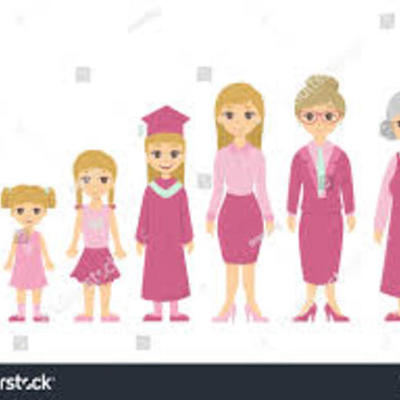 Timeline: Flower Baby