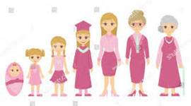 Timeline: Flower Baby