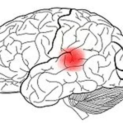 Timeline: Historia de la Neuropsicología