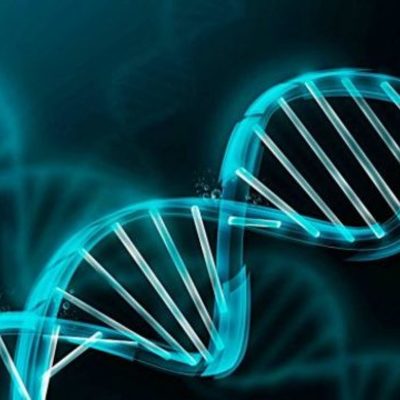 Timeline: Historia de la Genética