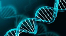 Timeline: Historia de la Genética