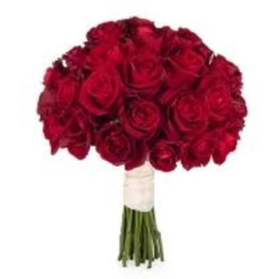 Timeline: תל אביב