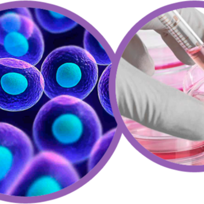 Timeline: HISTORIA DEL DESCUBRIMIENTO DE LA CÈLULA