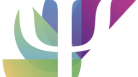 Timeline: Línea del Tiempo