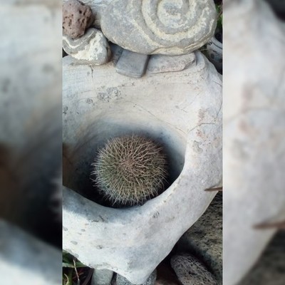 Timeline: Seminario de Investigación Cuantitativa