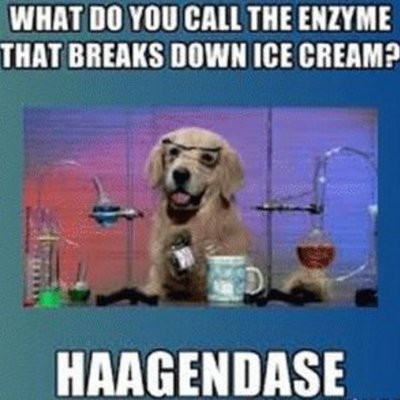 Timeline: Historia de la enzimología.