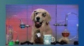 Timeline: Historia de la enzimología.