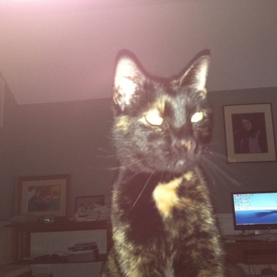 Timeline: Settlement of the American West