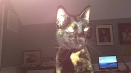 Timeline: Settlement of the American West