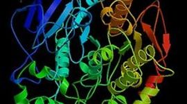 Timeline: historia de la enzimología