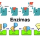 Enzimas 111102153006 phpapp01 thumbnail 4