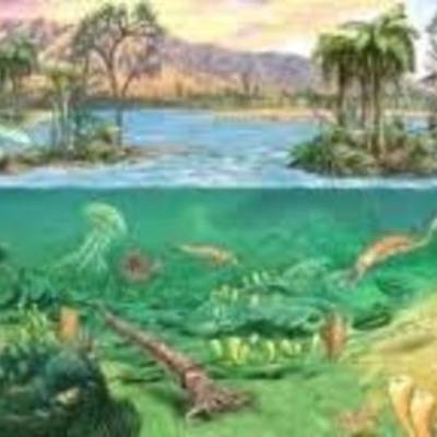 Timeline: Paleozoico