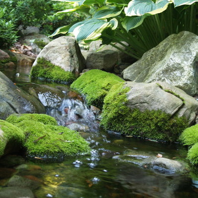 Timeline: Components of the Atmosphere and their Importance