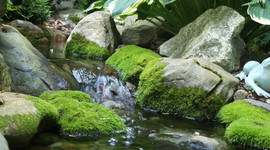 Timeline: Components of the Atmosphere and their Importance