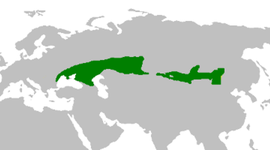 Timeline: Steppe peoples