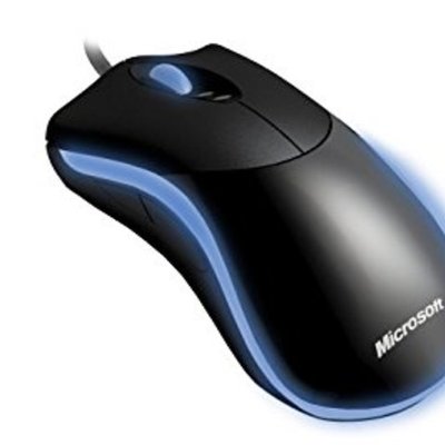 Timeline: historia de la los hipone