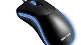 Timeline: historia de la los hipone