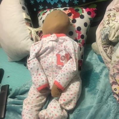 Timeline: Panini's Development