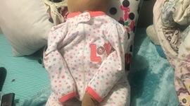 Timeline: Panini's Development