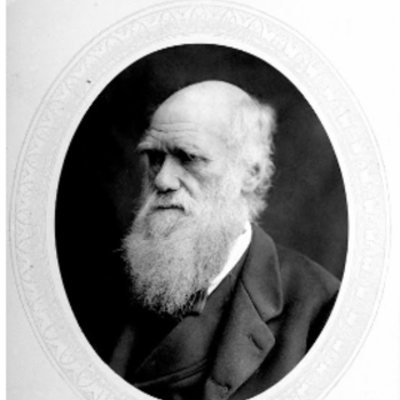 Timeline: Darwin