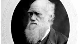 Timeline: Darwin